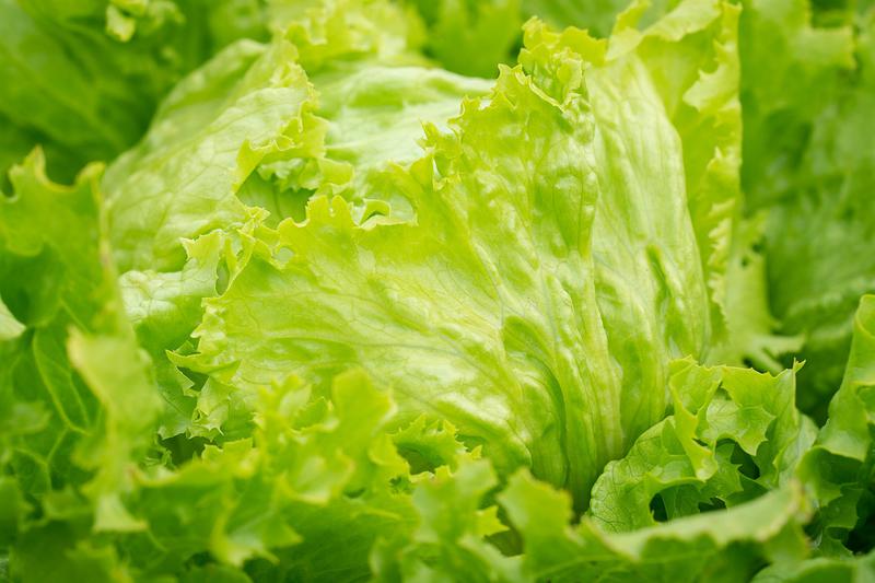 Eisbergsalat